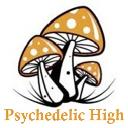 Psychedelic High logo